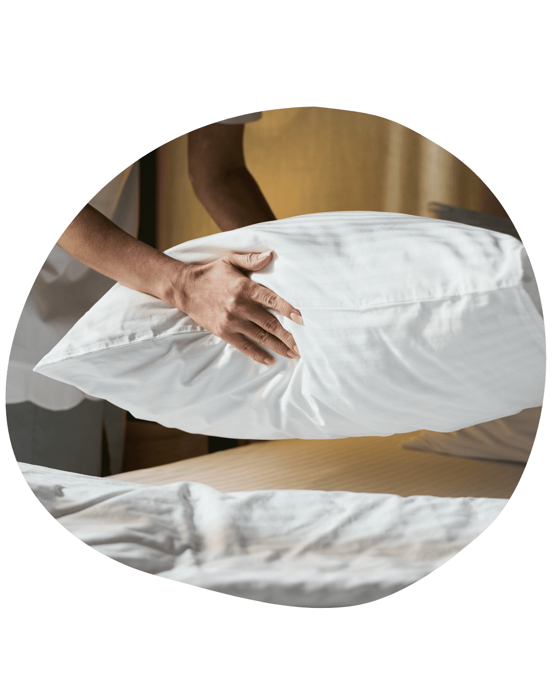 Property care you can count on