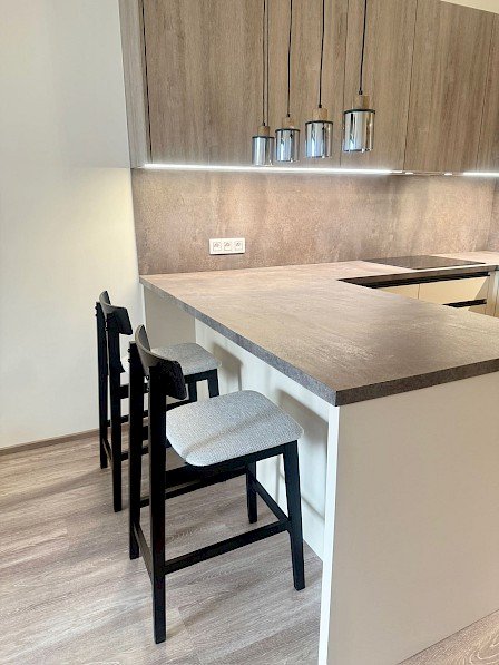 Žižkov Modern Apartment