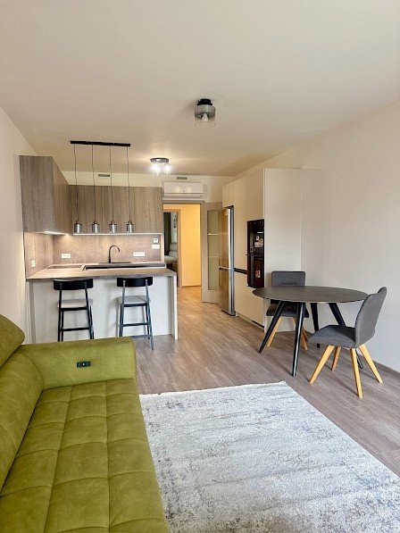 Žižkov Modern Apartment